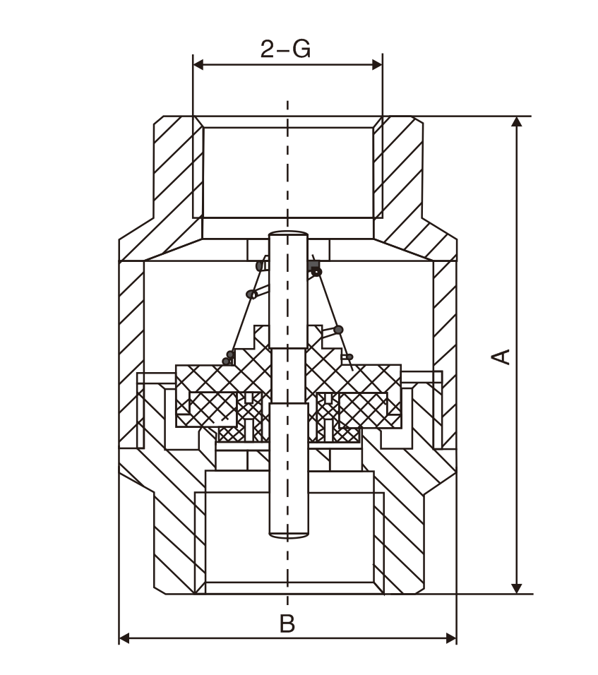 黃銅立式止(zhǐ)回閥(圖1)